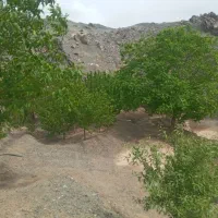 فروش  باغ رودگل قز|فروش خانه و ویلا|سبزوار, کراب|دیوار