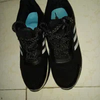 کفش چرم  و ورزشی مردانه|کیف، کفش، کمربند|بندرعباس, |دیوار