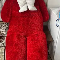 عروسک شاسخین