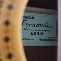 گیتار فرناندز Fernandez|گیتار، بیس، امپلیفایر|چهاردانگه (تهران), |دیوار