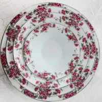 سرویس چینی زرین