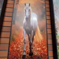 رادیاتور دکوراتیو|آبگرمکن، پکیج، شوفاژ|قم, چهل درخت|دیوار