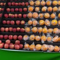 پالت میوه دوربین|فروشگاه و مغازه|کرج, شهرک فهمیده|دیوار