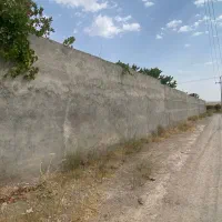 باغچه با درختان میوه بزرگ شهرک باغی مسکونی شاهنامه|فروش خانه و ویلا|مشهد, درزآب|دیوار