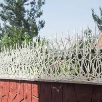 حفاظ شاخگوزنیsالاچیق جوشکاری