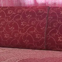 یک جفت پشتی