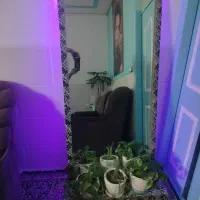 اینه ی قدی زیبا|آینه|کرمان, |دیوار