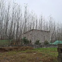 280-متر-زمین-داخل-طرح-هادی-شهرک-اباتر-دو-آبسر