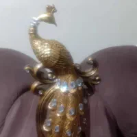 طاوس