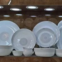 آرکوپال ۴۲پارچه شش طرح دینو