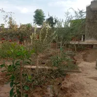 باغچه چهار دیواری 507 متر