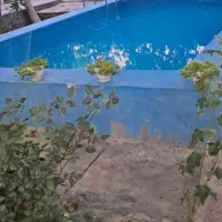 چهار مورد باغ با استخر روباز از یک تا سه خوابه|اجارهٔ کوتاه‌مدت ویلا و باغ|شیراز, باغشهر قصر سبز|دیوار