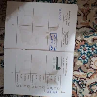 یک‌عدد‌گربه‌بریتیش|گربه|تبریز, |دیوار