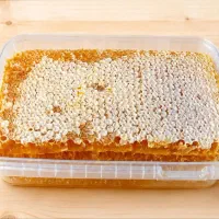 عسل طبیعی کوهستان طالقان