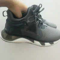 کفش نو|کیف، کفش، کمربند|جهرم, |دیوار