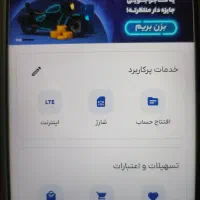 ضامن میشم باجت و رسالت