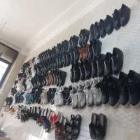 فروش انواع کوش ژیر قیمت کل بازار ۲۰۰هزار ژیر قیمت