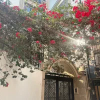 تک واحدی منظریه جنب هتل پردیس