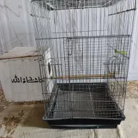 قفس|لوازم جانبی حیوانات|ایرانشهر, |دیوار