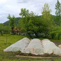 زمین باغی ومسکونی/ ۲۵۰۰متر/ سند دار|فروش زمین و ملک کلنگی|لیسار, |دیوار