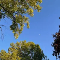 معرفی جاهای دیدنی تفت