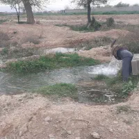 فروش زمین شاهنامه ۶۹آرامگاه فردوسی شهرک ویلای زاک|فروش زمین و ملک کلنگی|مشهد, توس (بلوار توس)|دیوار