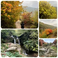 تور ۳روزه پاییزی گلستان ساسنگ