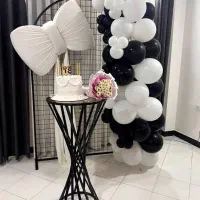 بادکنک آرایی متری ۲۸۰ دکور تولد و اجاره وسایل تولد|خدمات پذیرایی، مراسم|رشت, معلم|دیوار