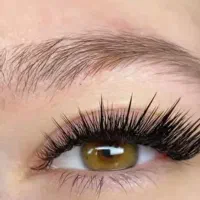 آموزش اکستنشن مژه و لیفت با تخفیف باورنکردنی|خدمات آموزشی|کرمان, |دیوار