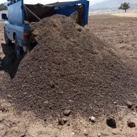 کود حیوانی پشگل