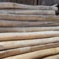 خرید چوب وهرس درخت وچوب سقفی