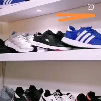 شلف|کتابخانه، شلف، قفسه‌های دیواری|سبزوار, توحیدشهر|دیوار