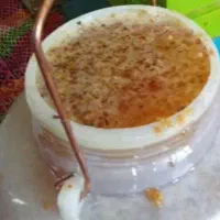 عسل نمدار بدون تغذیه