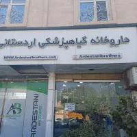 طراحی سایت و سئونویسی