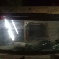 آکواریوم آب شیرین