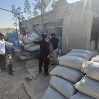 ذرت کیسه ایی