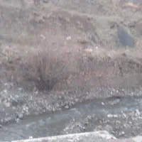 ۱۱۵۰مترزمین درجاده اصلی شمشک روبروی پیست اسکی|فروش زمین و ملک کلنگی|شمشک, |دیوار