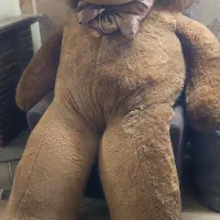 عروسک خرس|اسباب‌‌بازی|ری, حمزه‌آباد|دیوار