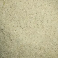 برنج هاشمی خالص