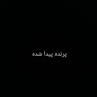 پرنده پیداشد