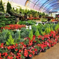 ۱۷۰ متر اکبر مشهدی(پارس)مناسب گلخانه گلفروشی