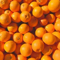 پرتقال شمال گرگان|حراج|مشهد, دانشجو|دیوار