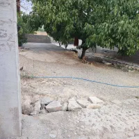 ۲۲۰ متر زمین مسکونی اماده ساخت پشت تجاری|فروش زمین و ملک کلنگی|اهواز, دانشگاه چمران|دیوار