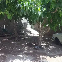 خانه دربست