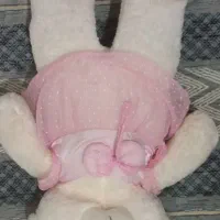 خرس عروسکی بزرگ ۱ متری