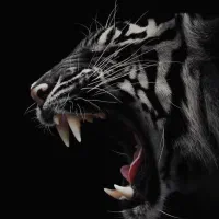 آموزش نقاشی و طراحی|خدمات آموزشی|تهران, فلسطین (میدان انقلاب)|دیوار