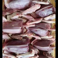 گوشت|خوردنی و آشامیدنی|بافق, |دیوار