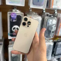 16 pro