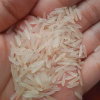 برنج هندی|خوردنی و آشامیدنی|نیشابور, میدان حافظ|دیوار