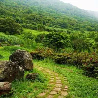 زمین کشاورزی آبی